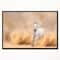 Designart - Arabian Horse in Desert Storm - Photography Framed Canvas Art Print